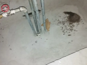 前郭尔罗斯卫生间测漏水价格明细